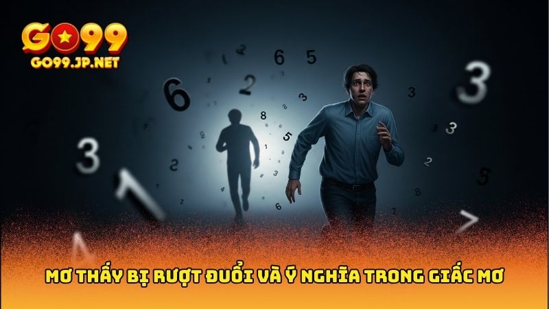 Mơ thấy bị rượt đuổi đánh con gì? Giải con số liên quan 3 Mơ thấy bị rượt đuổi đánh con gì? Giải con số liên quan