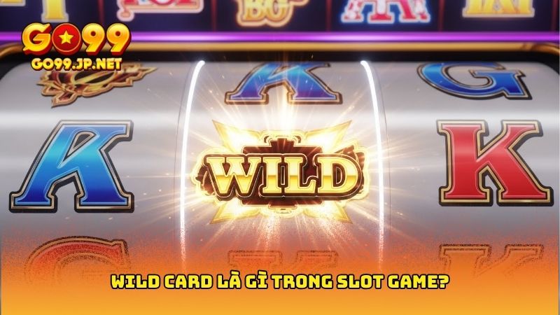 Wild Card là gì? Tìm hiểu chi tiết về tính năng này 2 Wild Card là gì? Tìm hiểu chi tiết về tính năng này