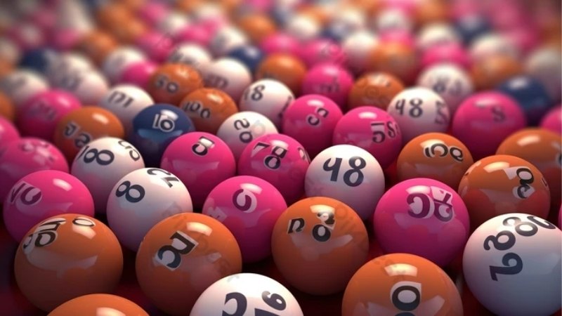 Bí quyết nuôi lô bạch thủ khung 2 ngày bất bại cho người mới 9 bi-quyet-nuoi-lo-bach-thu-khung-2-ngay-bach-phat-bach-trung